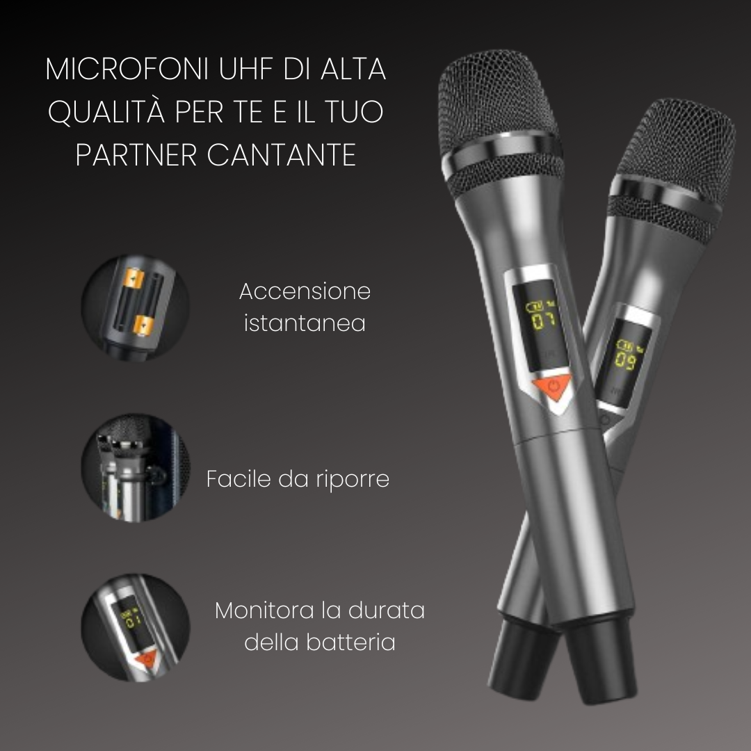 Macchina Karaoke Professionale con Schermo